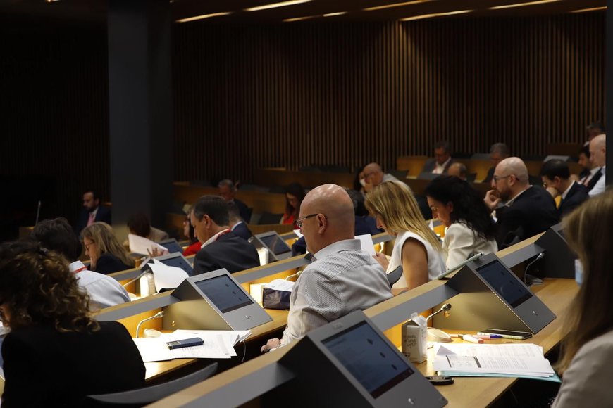 MAFEX RENUEVA SU COMITÉ DE DIRECCIÓN PARA LOS PRÓXIMOS CUATRO AÑOS, AMPLÍA EL NÚMERO DE SOCIOS E INFORMA DE UN INTENSO PLAN DE ACCIONES PARA EL 2022